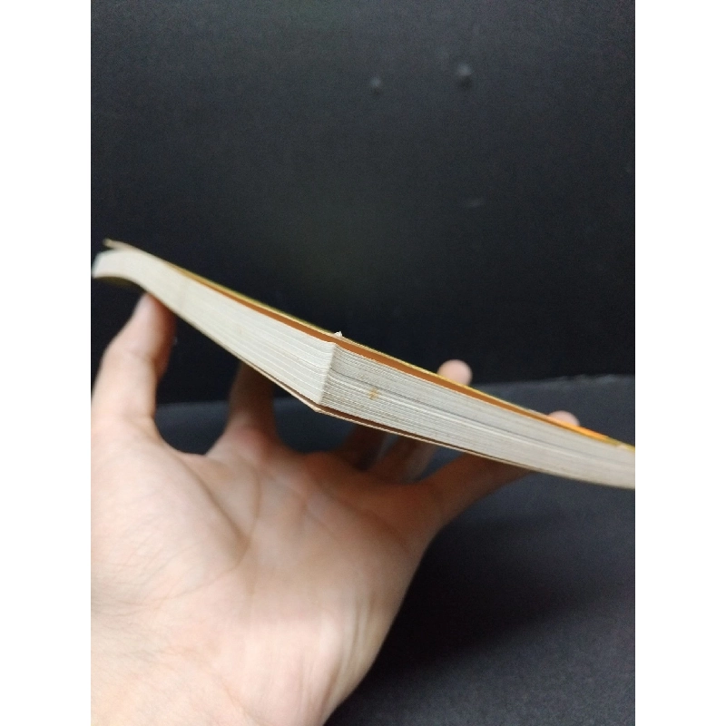 Những Cô Em Gái mới 80% ố nhẹ 2011 HCM2606 Nguyễn Nhật Ánh VĂN HỌC 916205