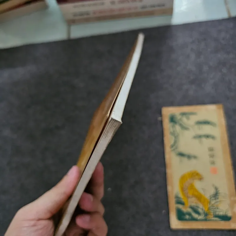 Đất nam kỳ tiền đề văn hóa mở đạo cao đài 751586