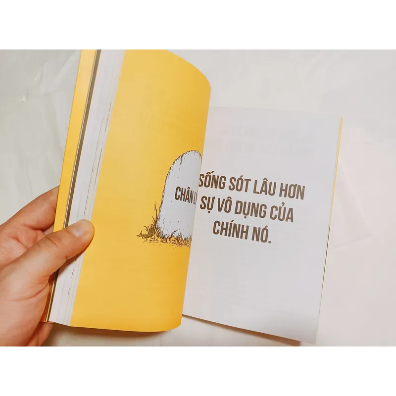 Thay Đổi Tư Duy Gãy Cứ Phi Lý Đi 559358