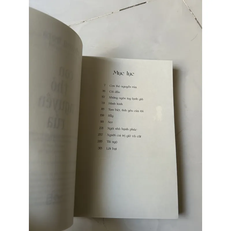 Con thỏ nguyền rủa - Chung Bora (như mới) 1028086