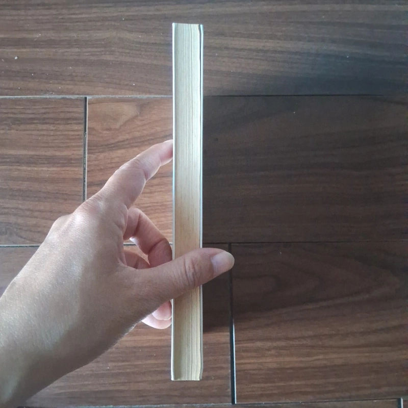 Chuyện nhà quê - nguyễn quang lập 523183