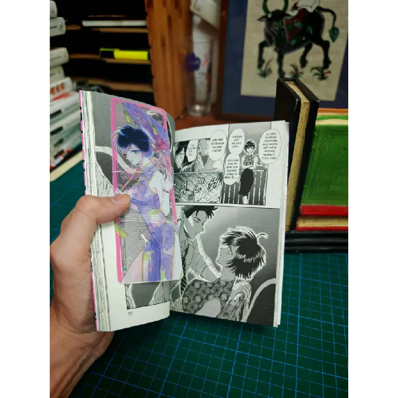 Chuyện Tình Cửu Long 606110