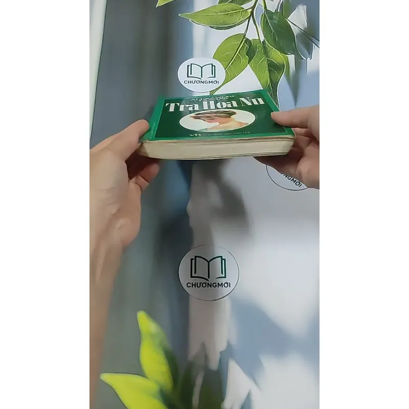 Trà Hoa Nữ 674981