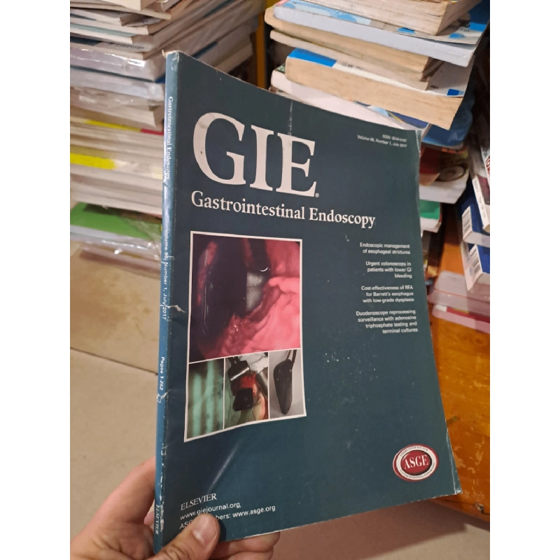 [Phiên Chợ Sách Cũ] GIE Gastrointestinal Endoscopy - Volume 86, Number 1 (2017) R1208 532555