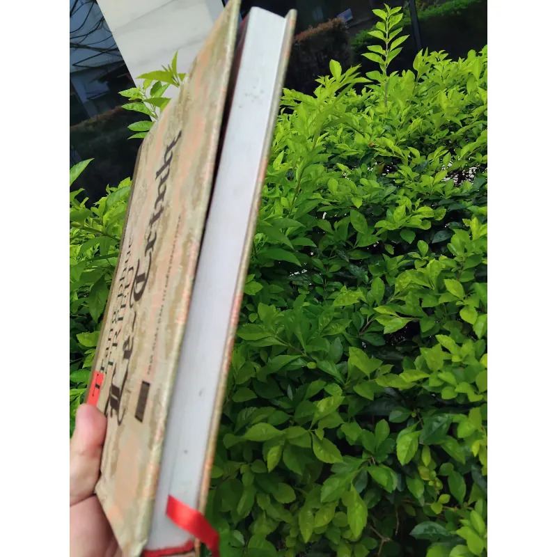 Trang phục triều Lê - Trịnh của Trịnh Quang Vũ 971396