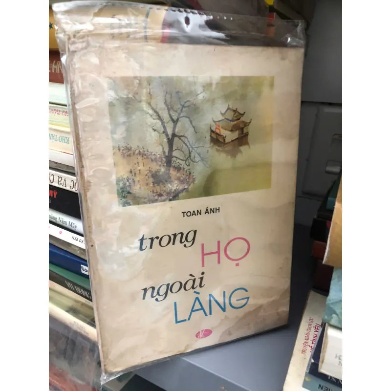 TRONG HỌ NGOÀI LÀNG - TOAN ÁNH 599212