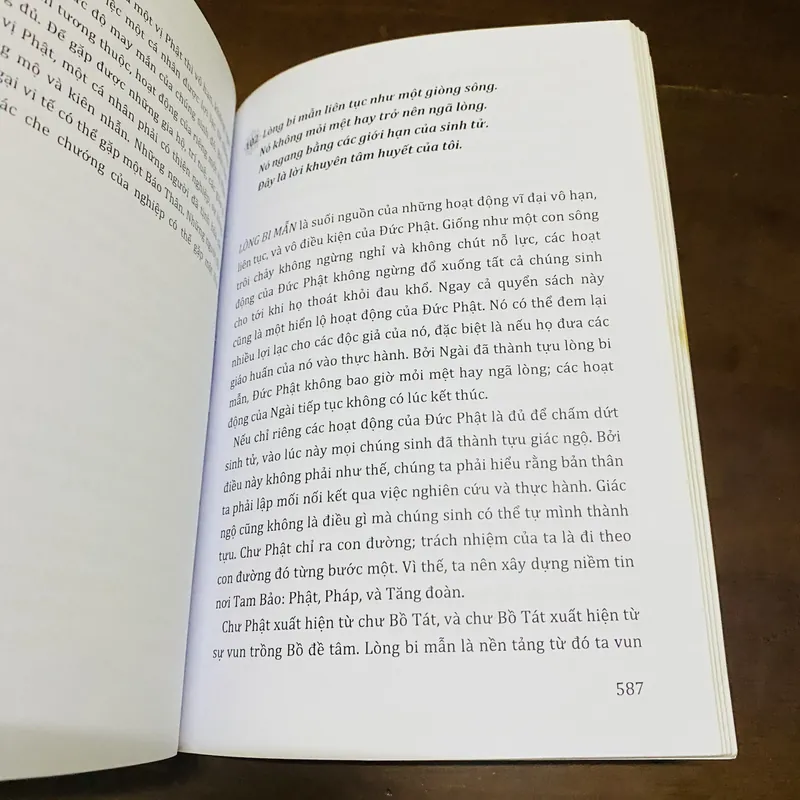 Một hướng dẫn đầy đủ về con đường Phật pháp 719098