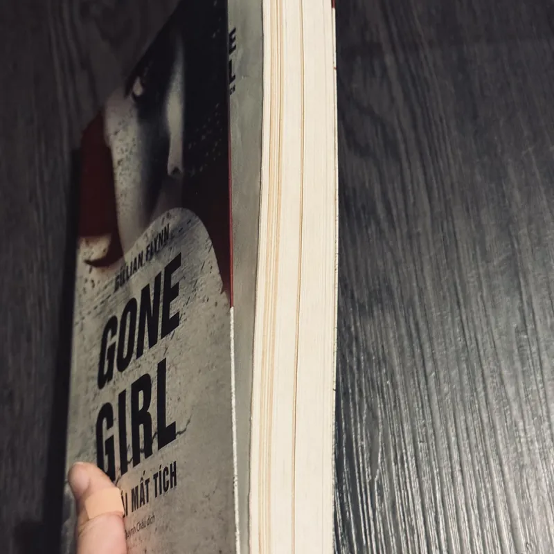 Gone girl cô gái mất tích 568779