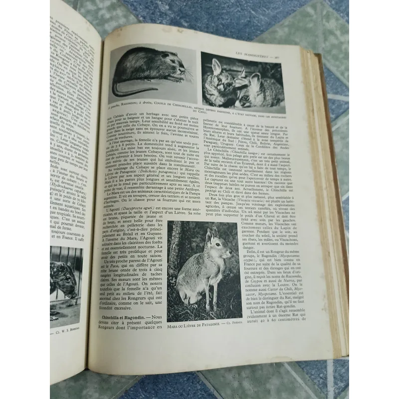La vie des animaux - Larousse 590350