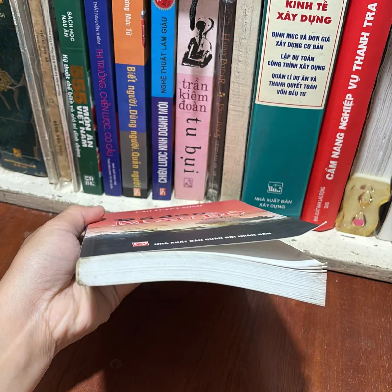 II Tiểu Thuyết: Đá Đen Và Máu Đỏ - Cao Tuyết Minh - 2013 785653