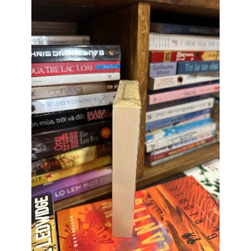 Homer - The Odyssey 590040