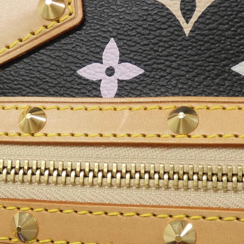 Túi xách Louis Vuitton Multicolor Alma PM M92646 - Hàng hiệu Chính hãng 764534