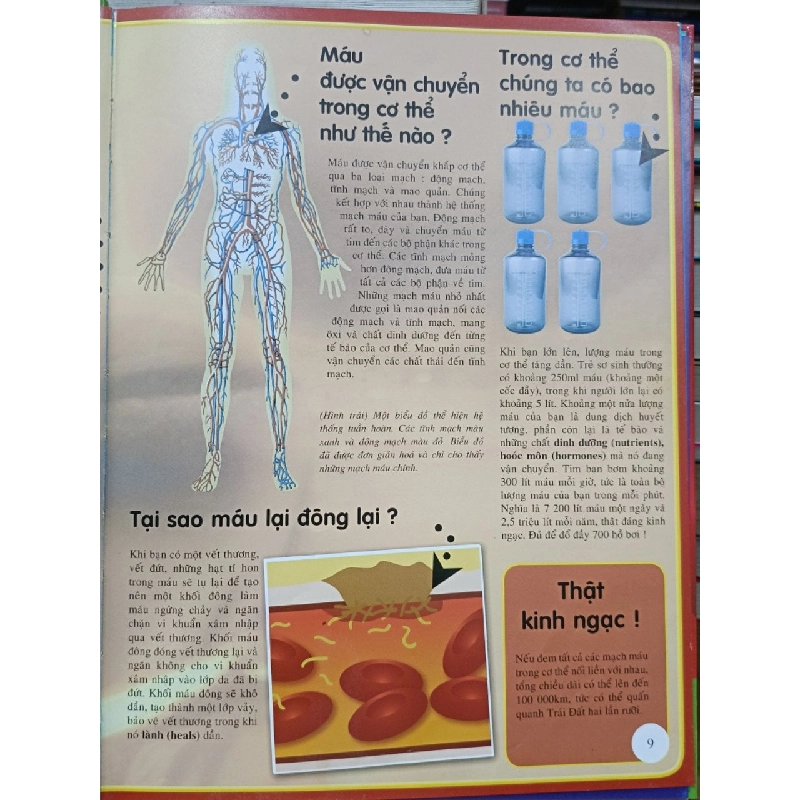 Bộ sách Hỏi và đáp 733461