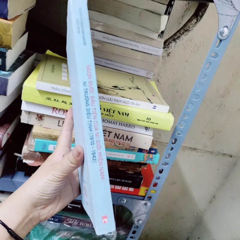 Ngọn đuốc đầu tiên của ni giới miền nam 627159