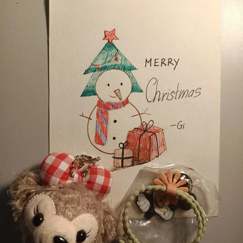 Christmas Giveaway- shipping fee not included 738376