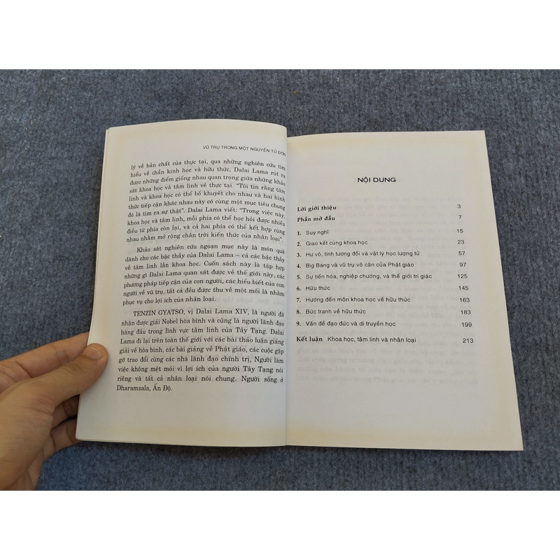 VŨ TRỤ TRONG MỘT NGUYÊN TỬ ĐƠN. ĐIỂM GIAO HÒA GIỮA KHOA HỌC VÀ TÂM LINH 485236