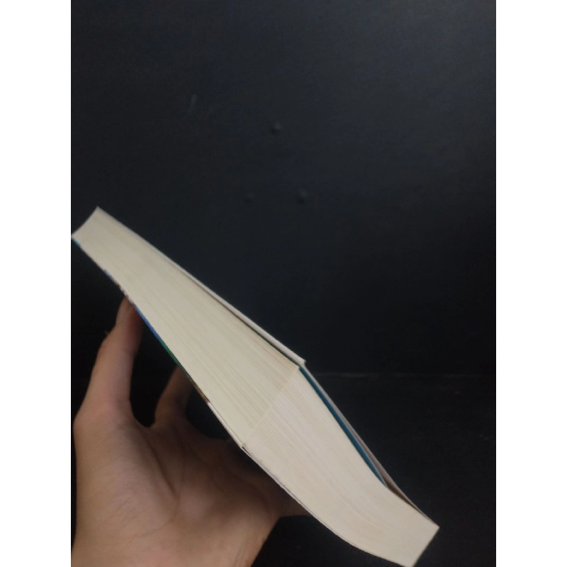 Báo cáo thường niên kinh tế Việt Nam 2013 TS. Nguyễn Đức Thành Mới 90% bẩn nhẹ SBMQ7-0309 913408