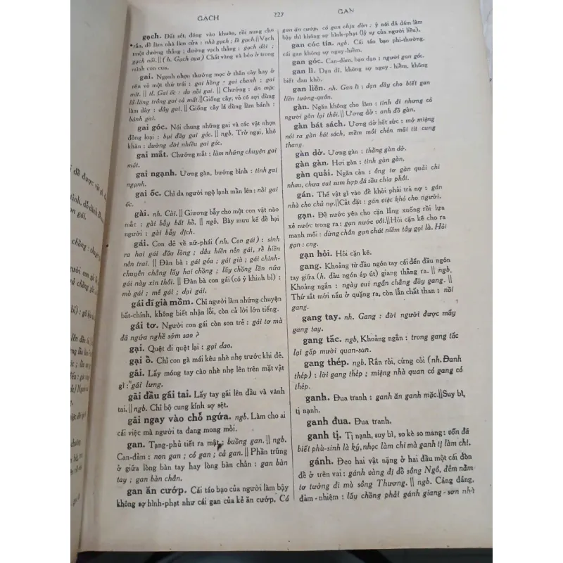 TỰ ĐIỂN VIỆT NAM PHỔ THÔNG - ĐÀO VĂN TẬP 729813