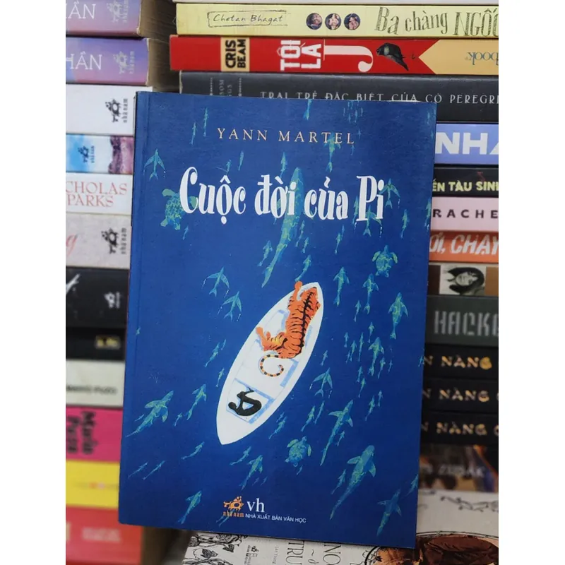 Tiểu thuyết CUỘC ĐỜI CỦA PI - Yann Martel 719334