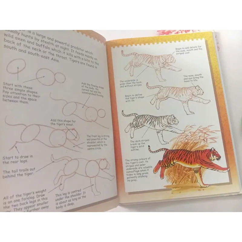 I Can Draw Wild Animals 1002086