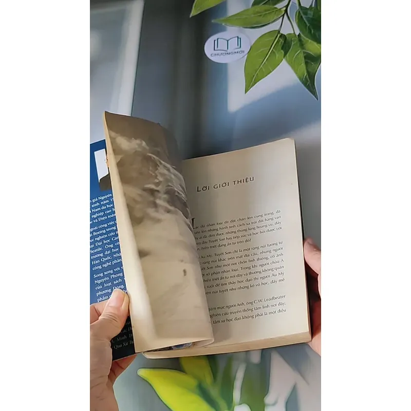 Trở Về Từ Xứ Tuyết - Nguyên Phong 607722