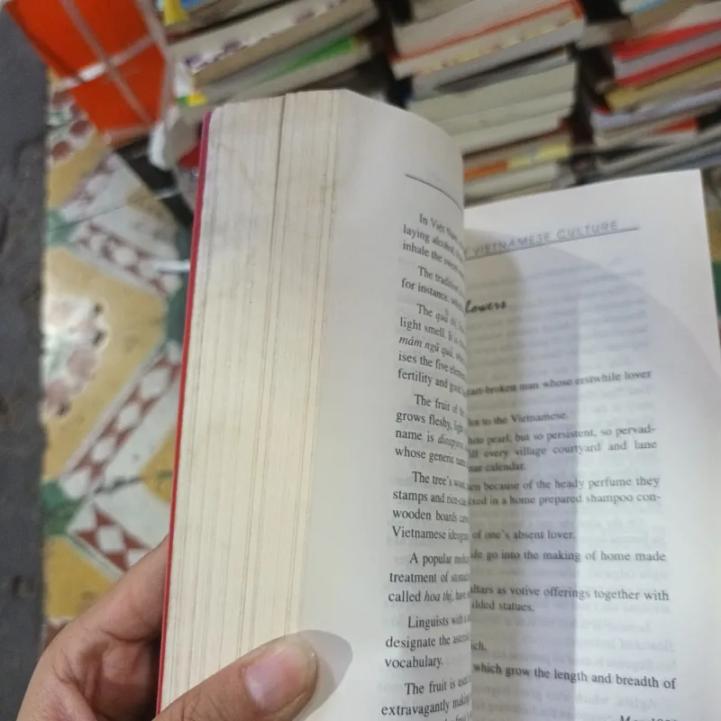 Wandering Through Vietnamese Culture - Hữu Ngọc 1031388