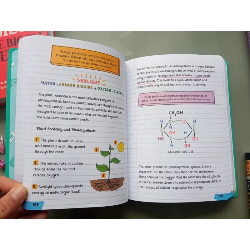 Big Fat NoteBook (Sách nhập) - 4 quyển 758722