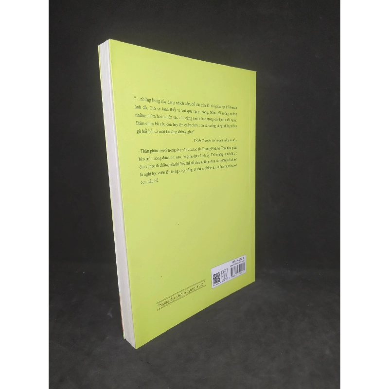 Chuyện tình miền nắng xanh mới 90% HCM1512 910505