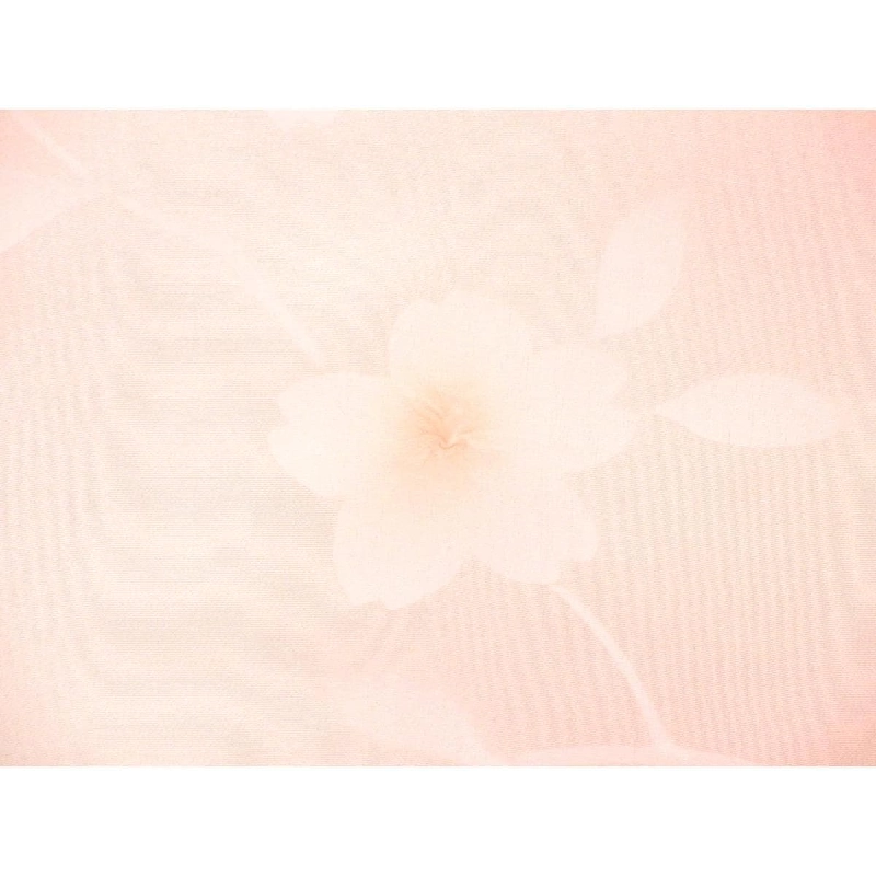 Vải phản vật dài - Hàng hiệu Authentic 878217