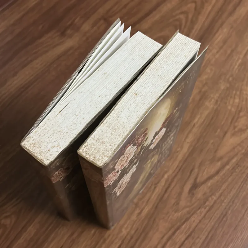 Tướng quân ở trên, ta ở dưới (trọn bộ 2 tập) 755894