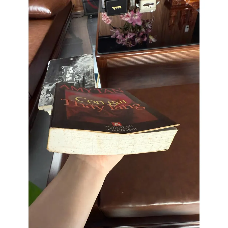 CON GÁI THẦY LANG – AMY TAN | TIỂU THUYẾT VĂN HỌC NƯỚC NGOÀI ĐẶC SẮC 976001