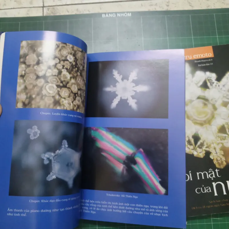 Combo 2 quyển- Thông điệp của nước+ Bí mật của nước 589620