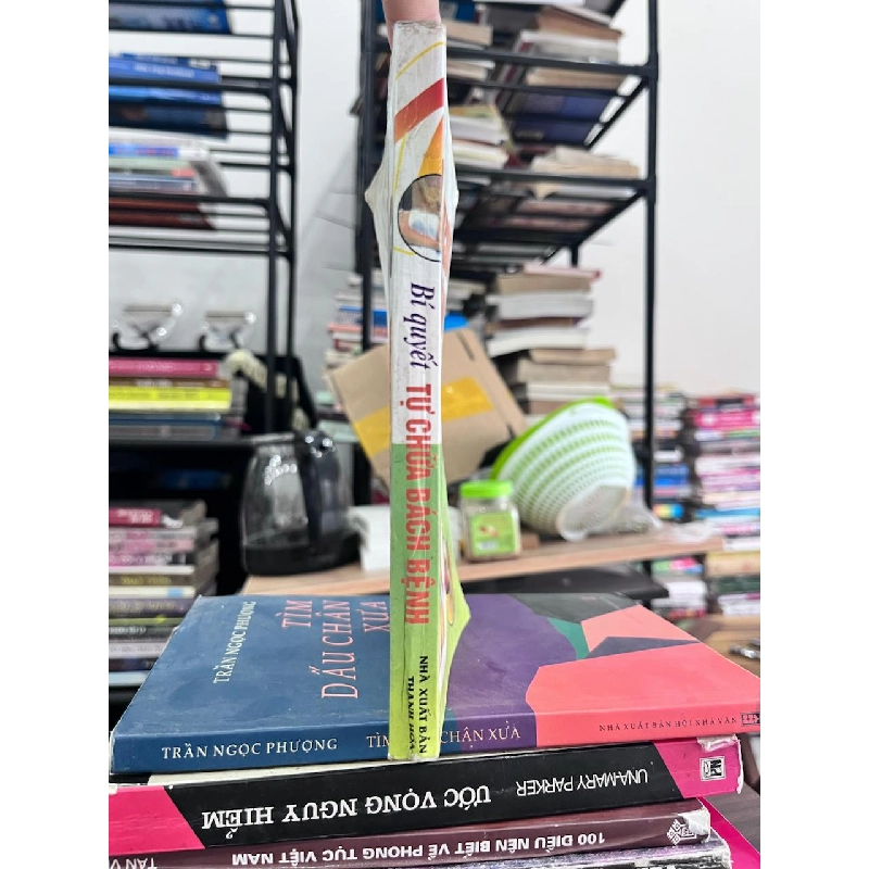 Bí Quyết Tự Chữa Bách Bệnh - Ngọc Minh - Ngọc Minh 973233