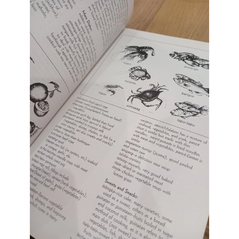 Philippine Vacations & Explorations - Jill Gale De Villa & Rebecca De Villa 569486