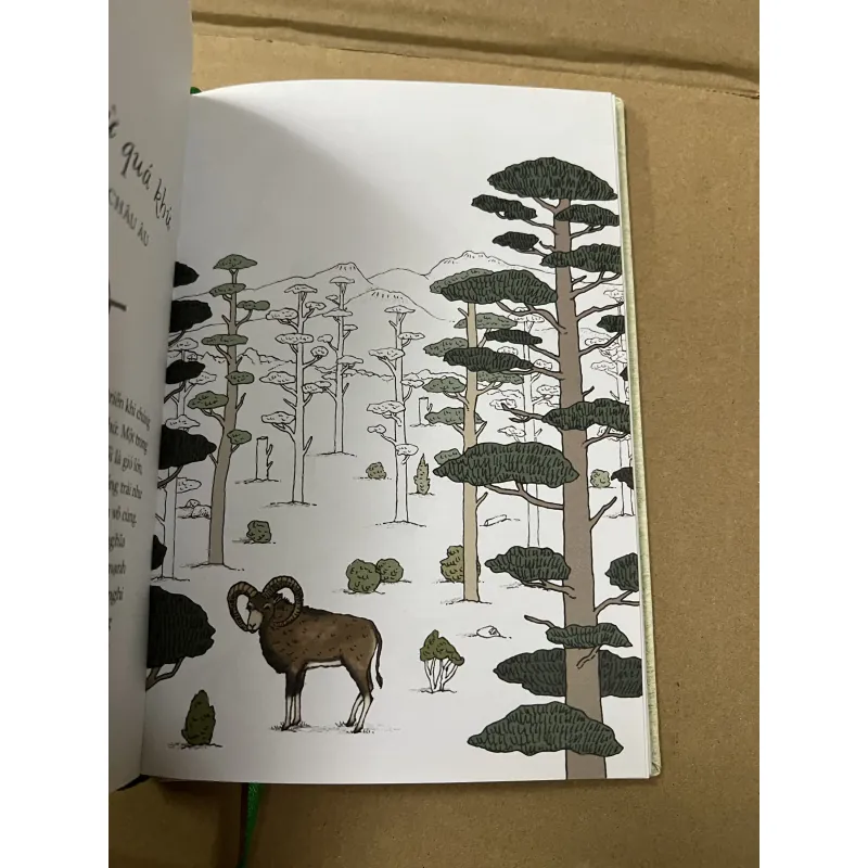 Sống Như Những Cái Cây (Bìa Cứng) 937292