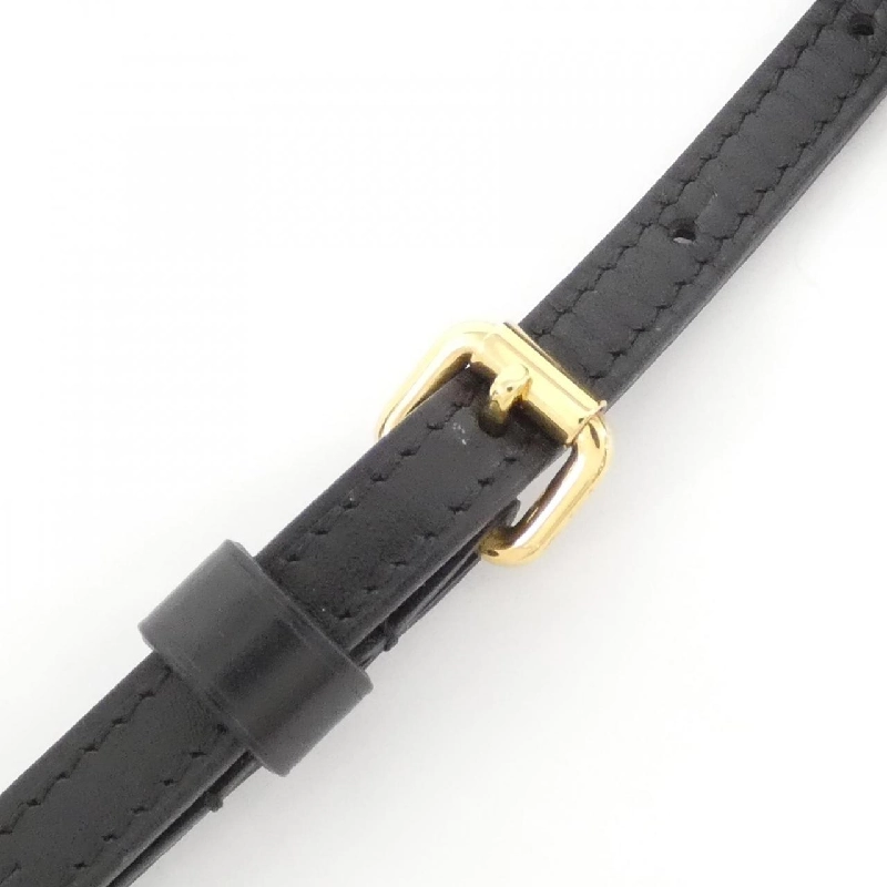 Túi xách vai Louis Vuitton Monogram Petit Mal M53201 613278