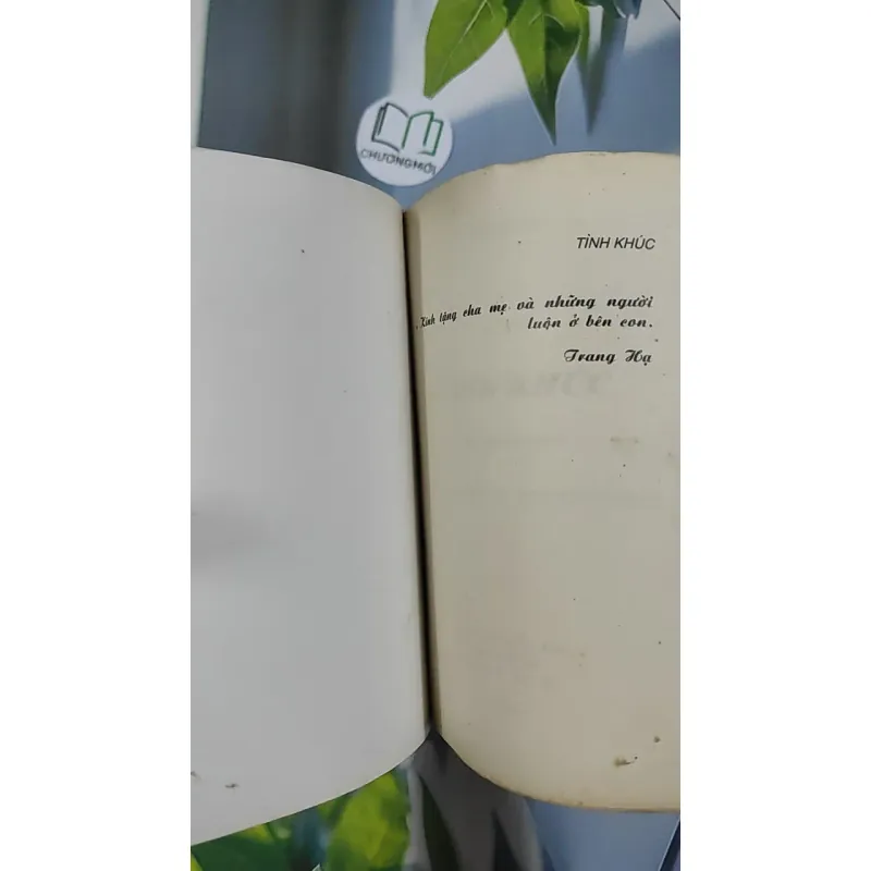 [XƯA] Tình Khúc (1995) - Trang Hạ 798487