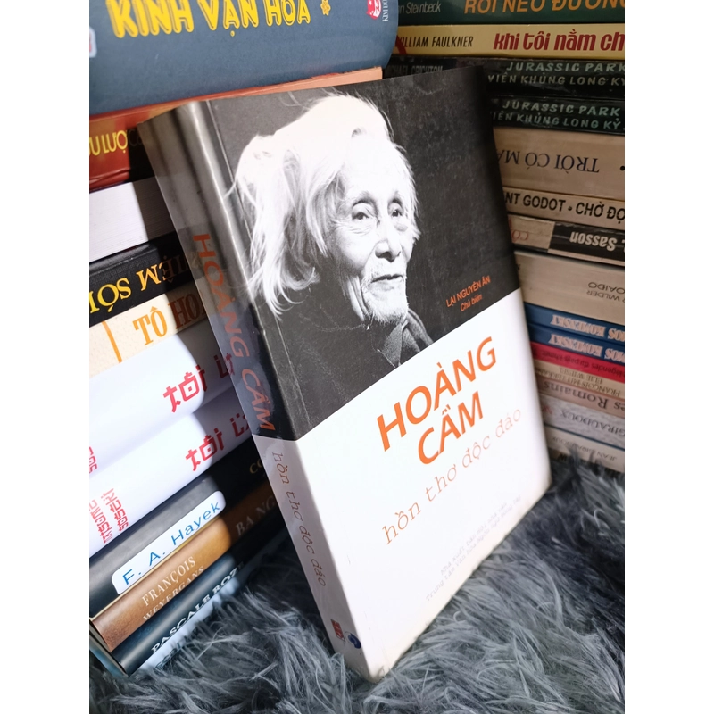 Hoàng Cầm hồn thơ độc đáo 477902