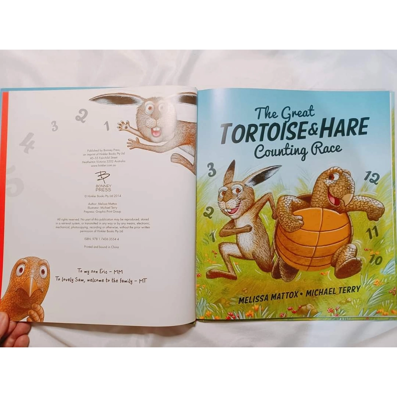 The Great Tortoise & Hare Counting Race 315384