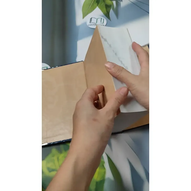 Từ Điển Việt - Anh - Bùi Phụng 749584