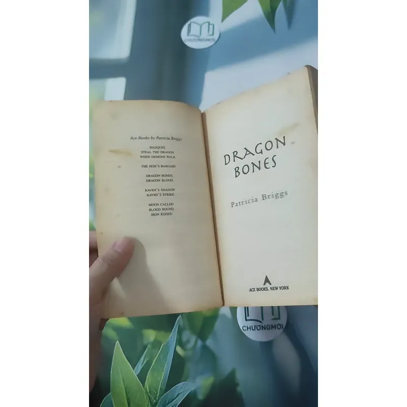 [MIỄN PHÍ BỌC SÁCH] Dragon Bones - Patricia Briggs 1027217
