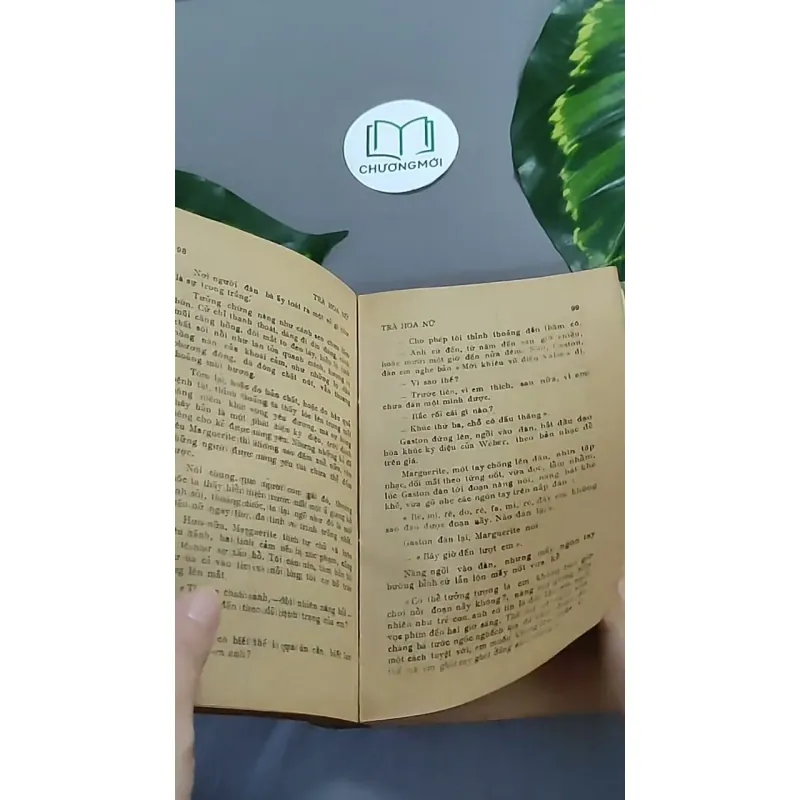 Trà Hoa Nữ 604659