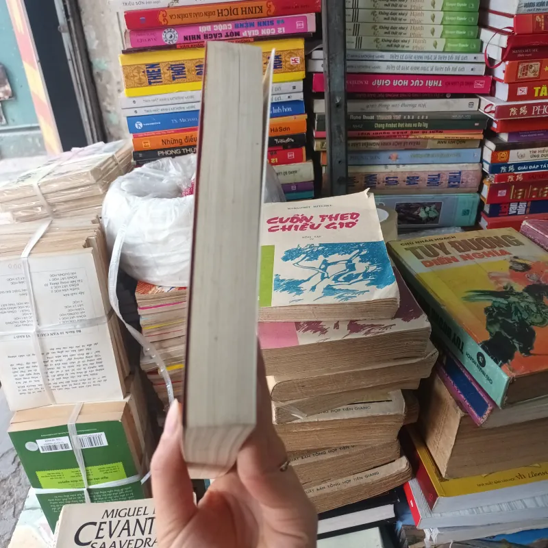 Sau Bức Màn Trung Nam Hải- Hán Tử 792267