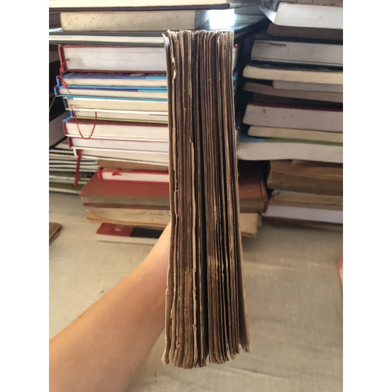 Việt Văn Độc Bản  995084