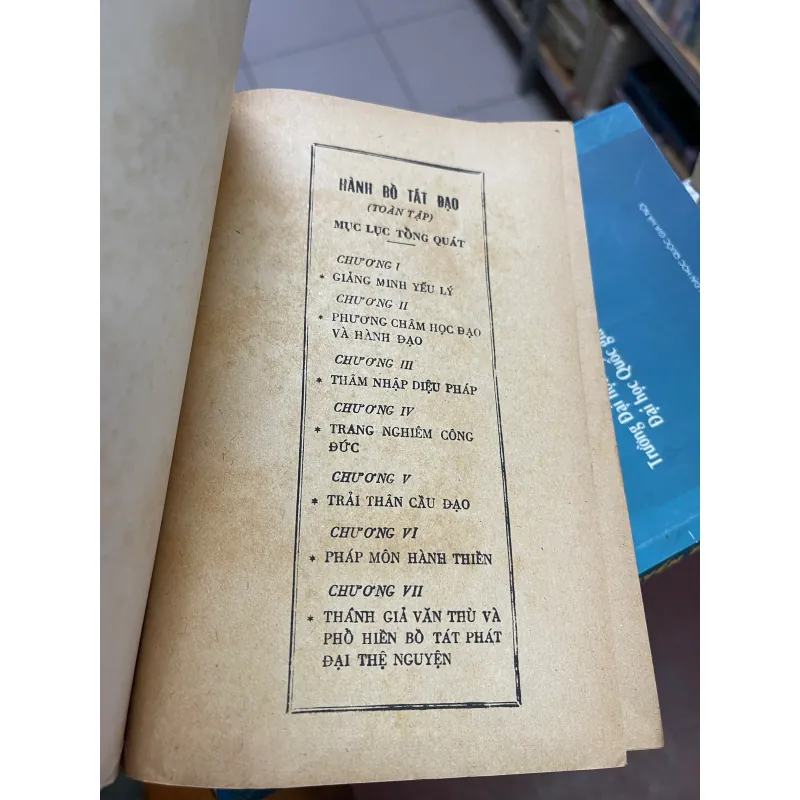LƯỢC GIẢI KINH HOA NGHIÊM (TẬP 2B - CHƯƠNG VI VÀ VII)  1032094