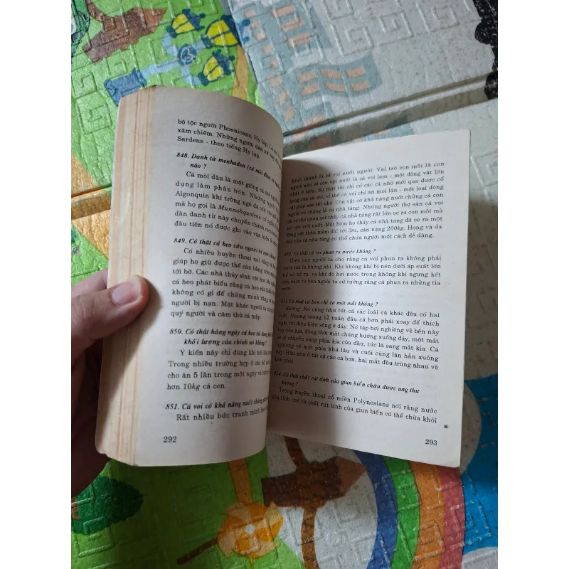 "Hải dương học 1036332