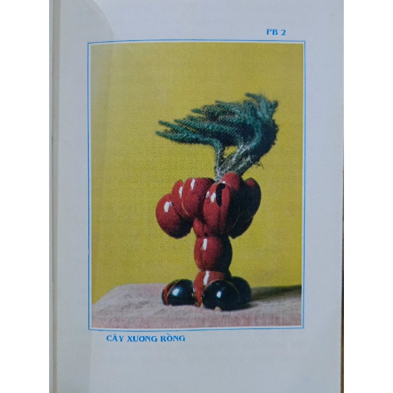 Nghệ thuật cây hoa - cây thế - cây cảnh - Như Mạo 1000795