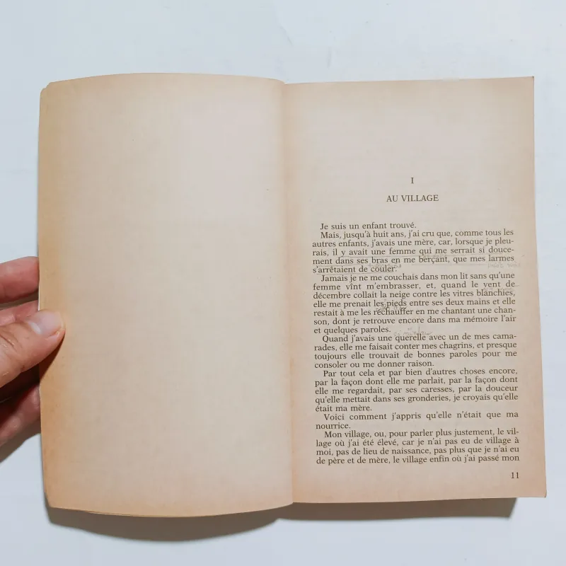 Sans Famille - Hector Malot 975834