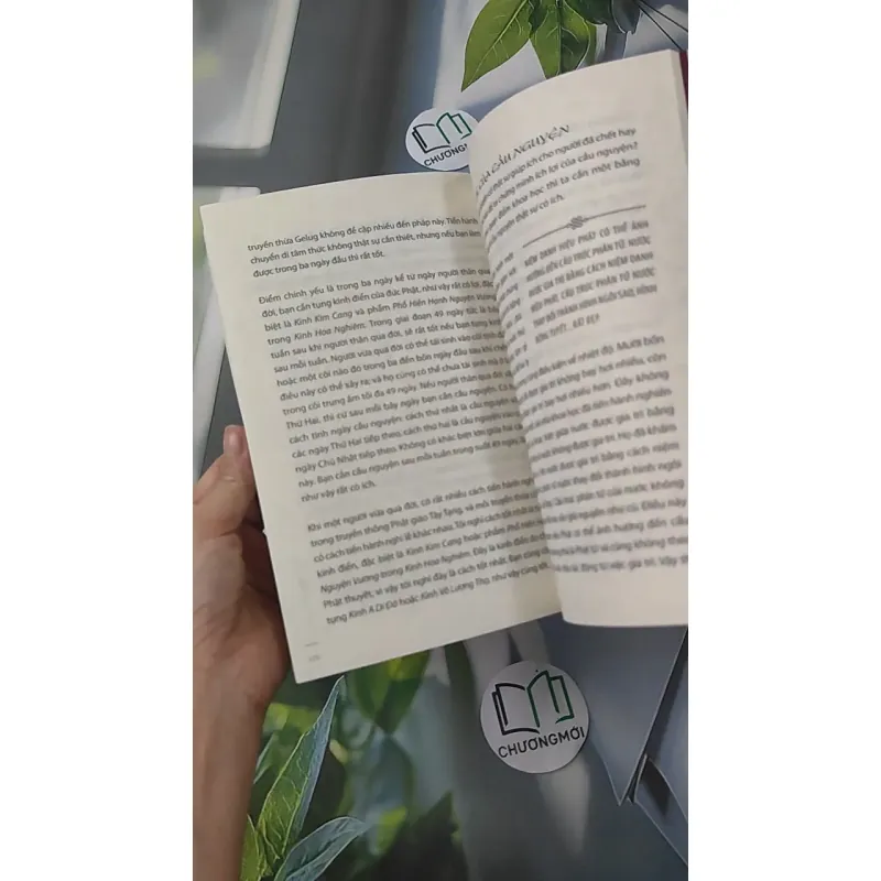 Làm Chủ Cuộc Đời - Khangser Rinpoche 961215