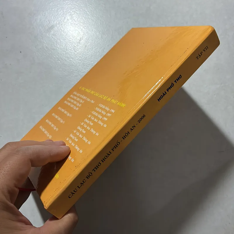 Hoài phố Tập XVII 726955